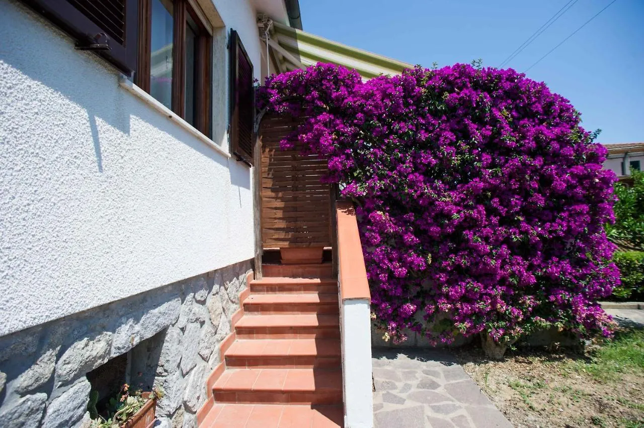 Il Caubbio Apartment Lacona Italy